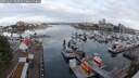 ./images/victoria/wharf/20250601/wharf20250601_060510M.jpg