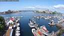 ./images/victoria/wharf/20250601/wharf20250601_110012M.jpg