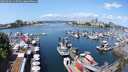 ./images/victoria/wharf/20250601/wharf20250601_115510M.jpg