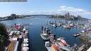 ./images/victoria/wharf/20250601/wharf20250601_135011M.jpg