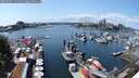 ./images/victoria/wharf/20250601/wharf20250601_141511M.jpg