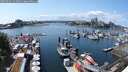 ./images/victoria/wharf/20250601/wharf20250601_143012M.jpg