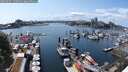./images/victoria/wharf/20250601/wharf20250601_150012M.jpg