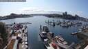 ./images/victoria/wharf/20250601/wharf20250601_165510M.jpg