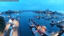 ./images/victoria/wharf/20250602/wharf20250602_045508M.jpg