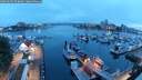 ./images/victoria/wharf/20250602/wharf20250602_050009M.jpg