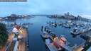 ./images/victoria/wharf/20250602/wharf20250602_050509M.jpg