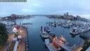 ./images/victoria/wharf/20250602/wharf20250602_051009M.jpg