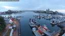 ./images/victoria/wharf/20250602/wharf20250602_052009M.jpg