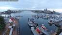 ./images/victoria/wharf/20250602/wharf20250602_052507M.jpg