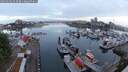 ./images/victoria/wharf/20250602/wharf20250602_053508M.jpg