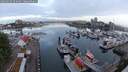 ./images/victoria/wharf/20250602/wharf20250602_054008M.jpg