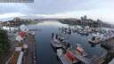 ./images/victoria/wharf/20250602/wharf20250602_055009M.jpg