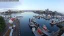 ./images/victoria/wharf/20250602/wharf20250602_060510M.jpg