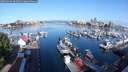 ./images/victoria/wharf/20250602/wharf20250602_081511M.jpg