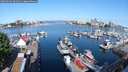 ./images/victoria/wharf/20250602/wharf20250602_091011M.jpg