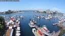 ./images/victoria/wharf/20250602/wharf20250602_113011M.jpg