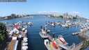 ./images/victoria/wharf/20250602/wharf20250602_113508M.jpg