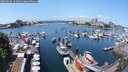 ./images/victoria/wharf/20250602/wharf20250602_121510M.jpg