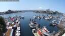 ./images/victoria/wharf/20250602/wharf20250602_140510M.jpg