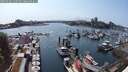 ./images/victoria/wharf/20250602/wharf20250602_160510M.jpg