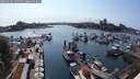 ./images/victoria/wharf/20250602/wharf20250602_165509M.jpg