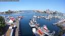 ./images/victoria/wharf/20250603/wharf20250603_095011M.jpg