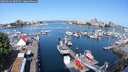 ./images/victoria/wharf/20250603/wharf20250603_095510M.jpg