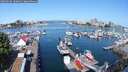 ./images/victoria/wharf/20250603/wharf20250603_100012M.jpg