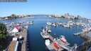 ./images/victoria/wharf/20250603/wharf20250603_100509M.jpg