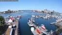 ./images/victoria/wharf/20250603/wharf20250603_101509M.jpg