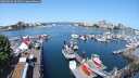 ./images/victoria/wharf/20250603/wharf20250603_104011M.jpg
