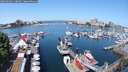 ./images/victoria/wharf/20250603/wharf20250603_110012M.jpg