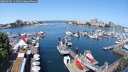 ./images/victoria/wharf/20250603/wharf20250603_111010M.jpg