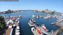 ./images/victoria/wharf/20250603/wharf20250603_113510M.jpg