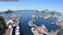 ./images/victoria/wharf/20250603/wharf20250603_114011M.jpg