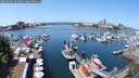 ./images/victoria/wharf/20250603/wharf20250603_122010M.jpg