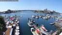./images/victoria/wharf/20250603/wharf20250603_135510M.jpg