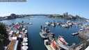 ./images/victoria/wharf/20250603/wharf20250603_141010M.jpg