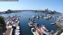 ./images/victoria/wharf/20250603/wharf20250603_143509M.jpg