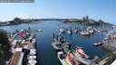 ./images/victoria/wharf/20250603/wharf20250603_144010M.jpg