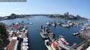 ./images/victoria/wharf/20250603/wharf20250603_145510M.jpg