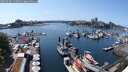 ./images/victoria/wharf/20250603/wharf20250603_150012M.jpg