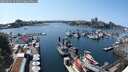 ./images/victoria/wharf/20250603/wharf20250603_151010M.jpg