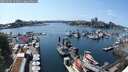 ./images/victoria/wharf/20250603/wharf20250603_152011M.jpg