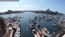 ./images/victoria/wharf/20250603/wharf20250603_161010M.jpg