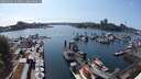 ./images/victoria/wharf/20250603/wharf20250603_163010M.jpg