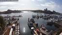 ./images/victoria/wharf/20250603/wharf20250603_175010M.jpg