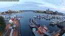 ./images/victoria/wharf/20250604/wharf20250604_050509M.jpg