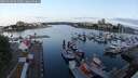 ./images/victoria/wharf/20250604/wharf20250604_054009M.jpg